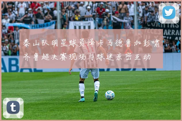 泰山队明星球员泽卡马德鲁加彭啸齐鲁超决赛现场与球迷亲密互动