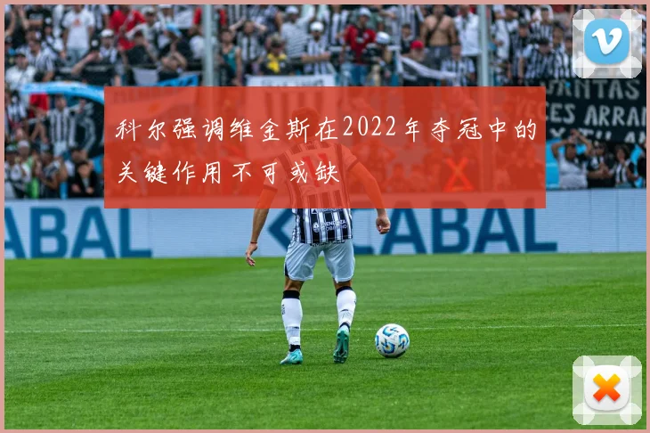 科尔强调维金斯在2022年夺冠中的关键作用不可或缺